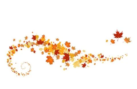 Swirl of maple leaves Stock Illustration