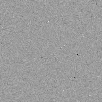 Swirl texture background Illustrazione stock