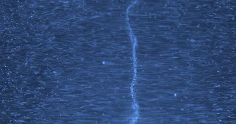 Swirl in the water Stock Footage 114952169