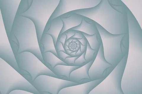 Swirled background pattern - seashell Stock Illustration