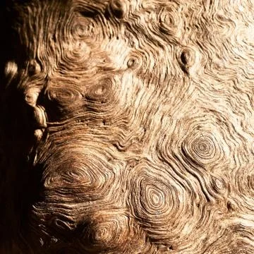 Swirling Bark 库存照片