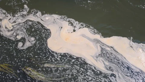 Swirling foam on dark water surface Stock Footage 341847988