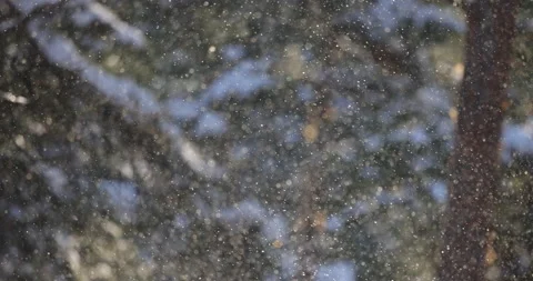 Swirling golden snow in the sun, 4K slomo Stock Footage 163843053