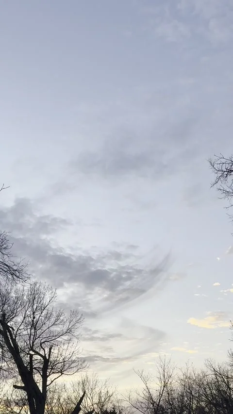 Swirling Gray Clouds at Sunset Above Tree Line Video stock 344717337
