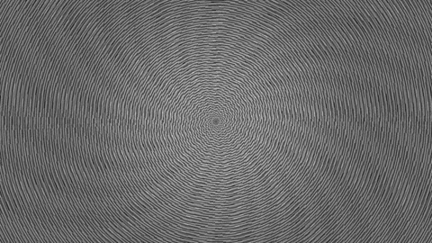 Swirling lines create an abstract gray pattern with depth Stock Footage 339490041