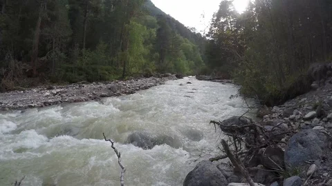 Swirling mountain river flows through the forest Stock Footage 118601002