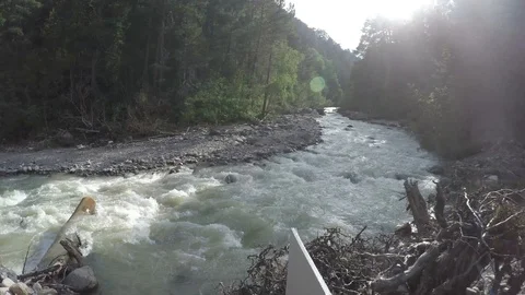 Swirling mountain sunny river flows near the trees Stock Footage 118601309