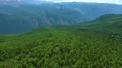 Swirling panorama of the mountain forest Stock Footage 163501690