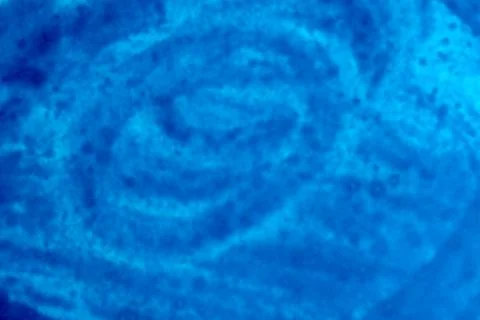 Swirling patterns of blue water beneath sunlit waves Illustrazione stock
