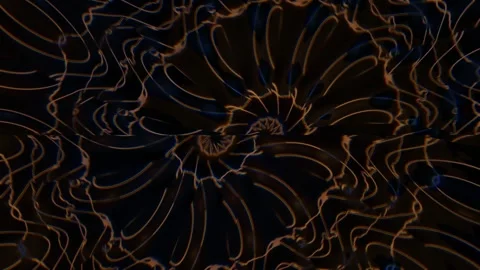 Swirling patterns in dark background with light lines Stock Footage 339957021