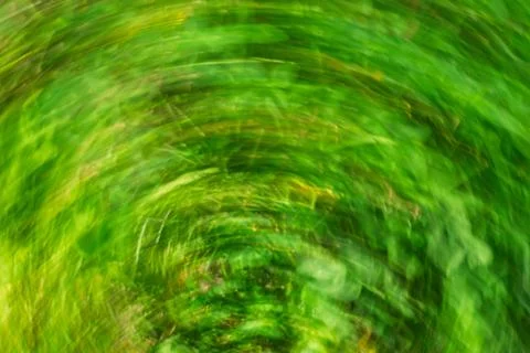 Swirling patterns of green foliage create an abstract visual in nature Stock Photos