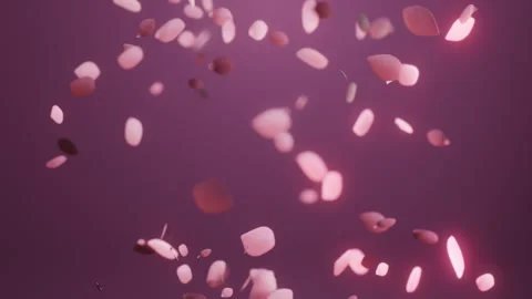 Swirling petals Видео 232648536