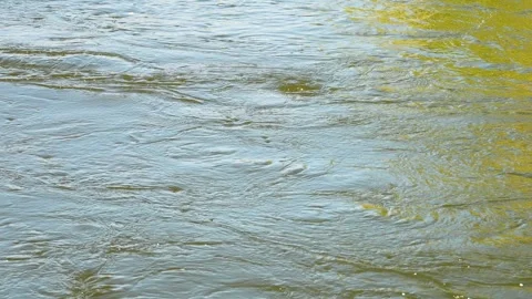 Swirling river water stream, 4x slow motion Stock Footage 297631884