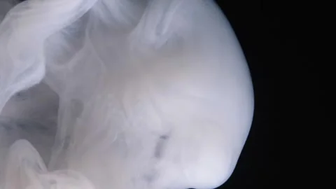 Swirling smoke creates captivating patterns under subtle lighting. Stock Footage 274137599