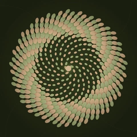 Swirling Spiral Pattern: Abstract Organic Shapes in Green and Beige Stock Footage 346283127