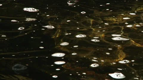 Swirling Water Bubbles in a Mountain Stream Stock Footage 14794586