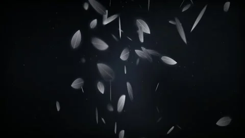 Swirling White Feathers Vortex Loop on Dark Background 库存影片 345315051