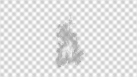 Swirling White Smoke Cloud Isolated on Transparent Background Stock Footage 319695558