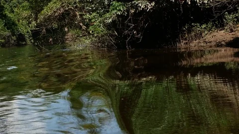 Swirls in an Amazonian River during Navigation Vídeo Stock 80437486