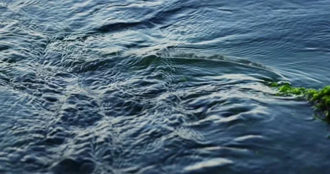 Swirls of Water. Ripple Effect. Stock Footage 157114671