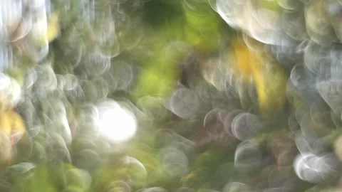 Swirly Abstract Background From Leaf, Dreamy White Yellow Green Bokeh Bubbles Stock Footage 255767667