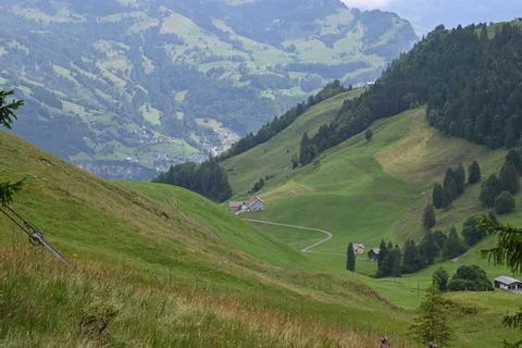 Swiss Alpine Stock Photos