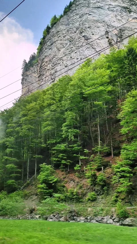 Swiss Alps Forest and Mountain Landscape Near Lauterbrunnen Stock Footage 334451944
