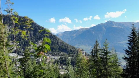 Swiss alps Mountain forest - camera rising through the trees aerial shot Stock Footage 96109739