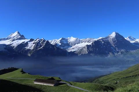 Swiss Alps Stock Photos
