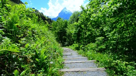 Swiss Alps in the summer. Stock Footage 77435634