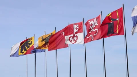 Swiss canton flags waving in the wind, Switzerland flags establisher Stock Footage 271204304