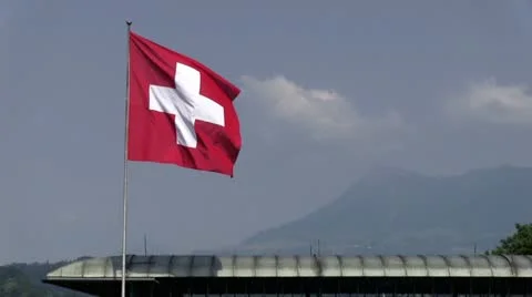 Swiss flag with birds flying by Stock Footage