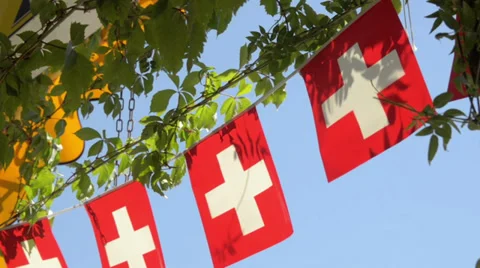 Swiss flag flapping in the summer sun. 動画素材 29422944