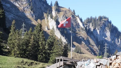 Swiss flag waving in the wind. Vidéo 106293025
