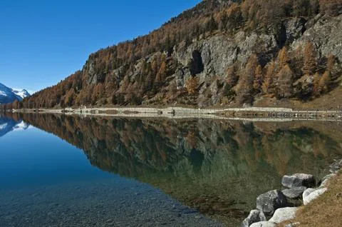 Swiss Lake Silvaplana Stock Photos