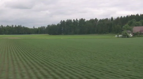 Swiss landscape train 2 Vidéo 743208