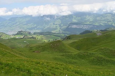 Swiss meadows Stock Photos