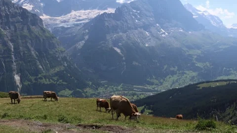 Swiss mountain landscape with Eiger and Grindelwald valley, establisher Vidéo 281953323