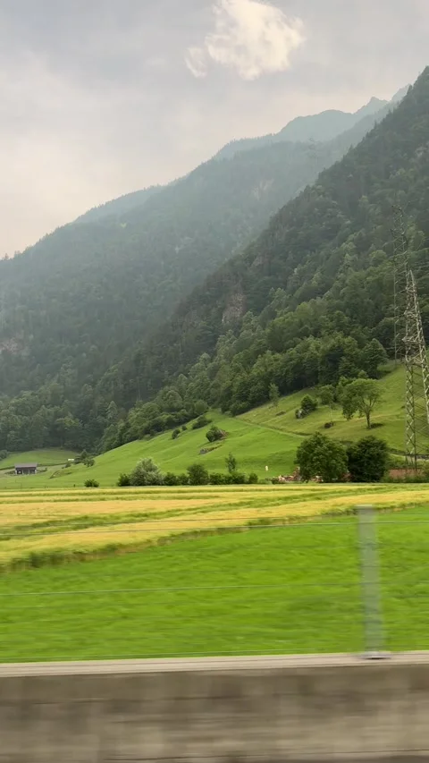 Swiss Mountain Landscape in Mobile Format — Green Meadows and Distant Alps Stock Footage 311404951