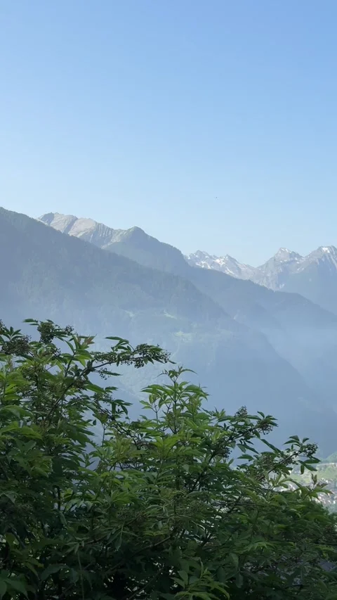 Swiss Mountain Landscape in Mobile Format — Green Meadows and Distant Alps Stock Footage 311404952