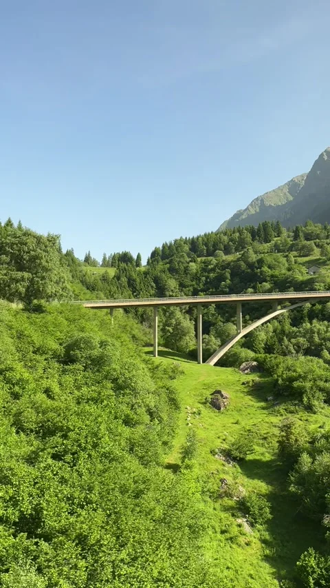 Swiss Mountain Landscape in Mobile Format — Green Meadows and Distant Alps Stock Footage 311404987