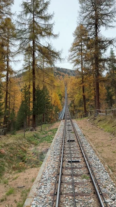Swiss mountain train, descending. Stock Footage 219716158