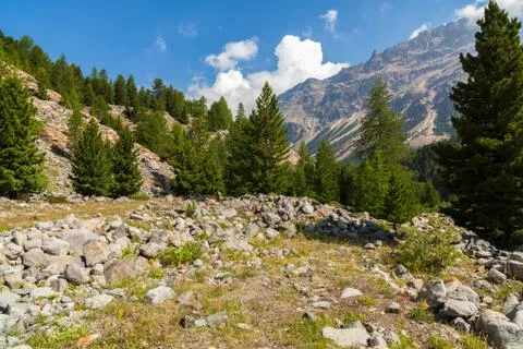 Swiss mountains Stock Photos