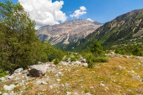 Swiss mountains Stock Photos