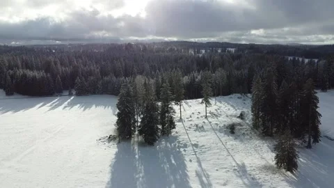 Swiss pine forest in winter areal view drone Stock Footage 167967102