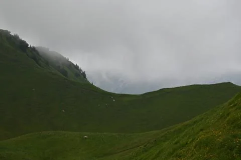 Swiss rural Stock Photos
