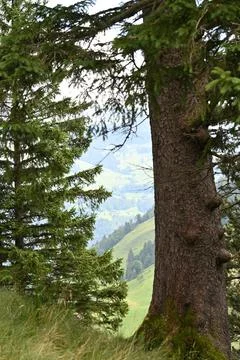 Swiss scenery Stock Photos