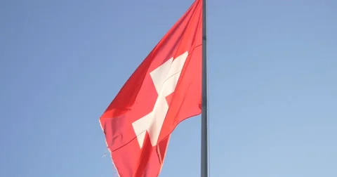 Swisse Flag Stock Footage 45550026