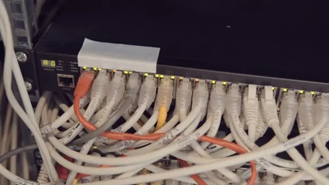 Switch Cloud Server. Internet Network Router With Plugged Ethernet Cable Видео 260925511