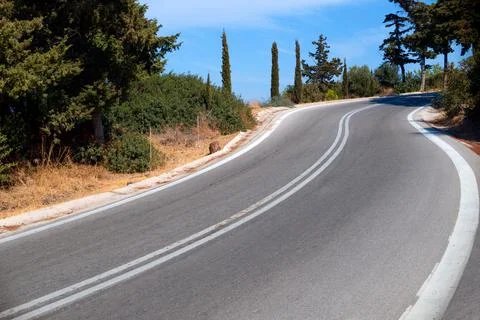 Switchback asphalt road between trees Stock Photos